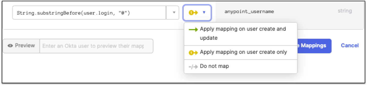 Example of a mapped anypoint_username attribute