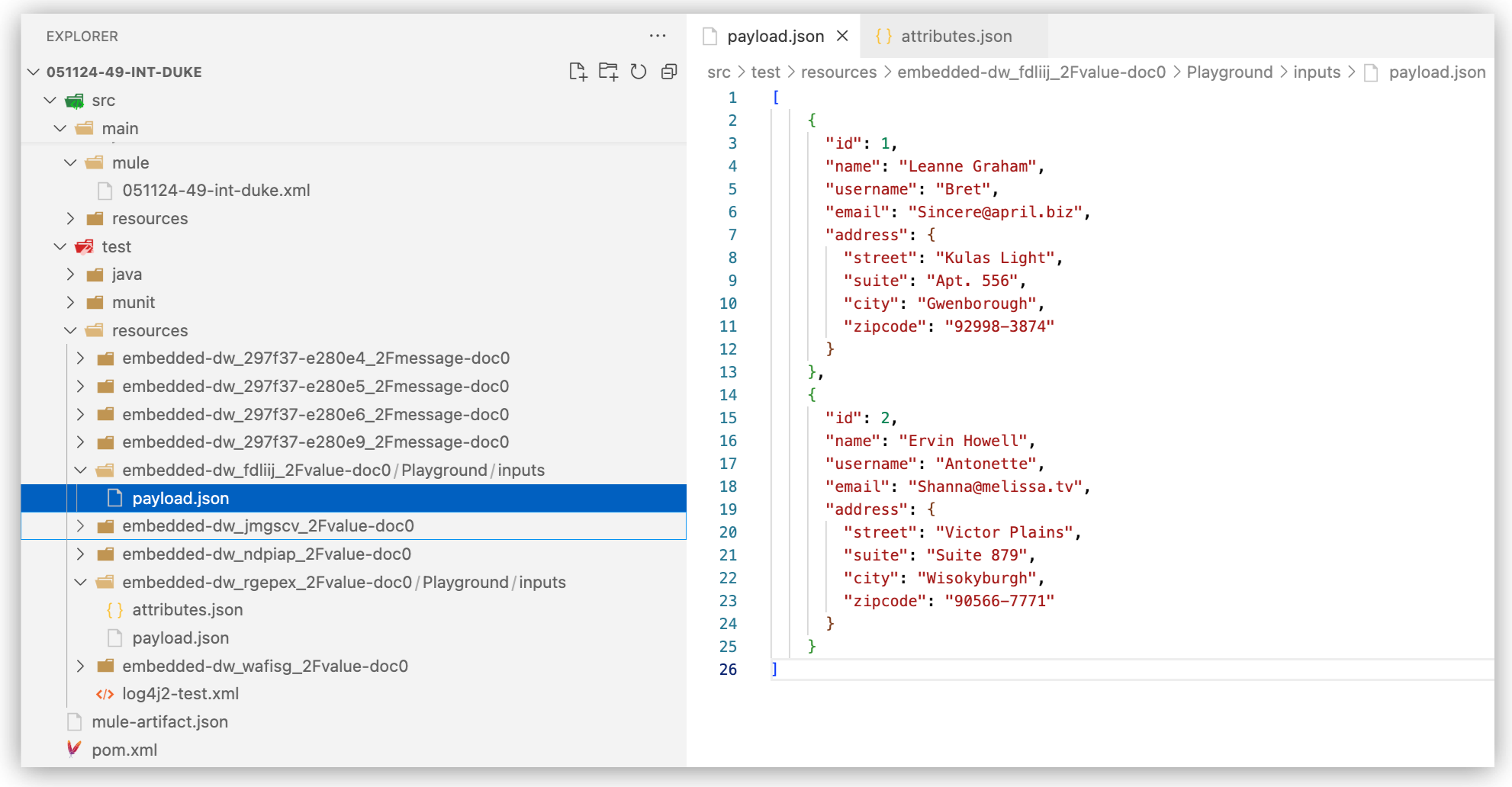 src/test/resources ディレクトリ構造に保存されている payload.json などのサンプルデータファイルが表示されている Project Explorer